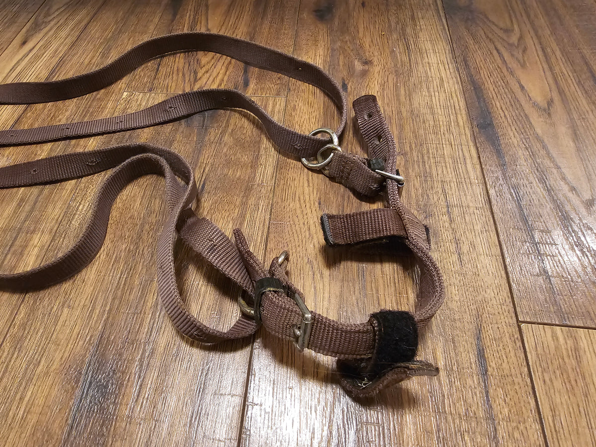 Anti grazing reins pony