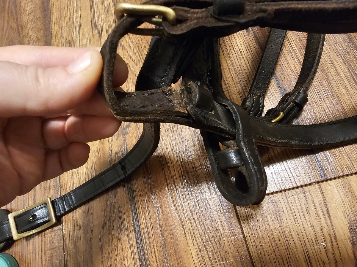Mini Driving Bridle used