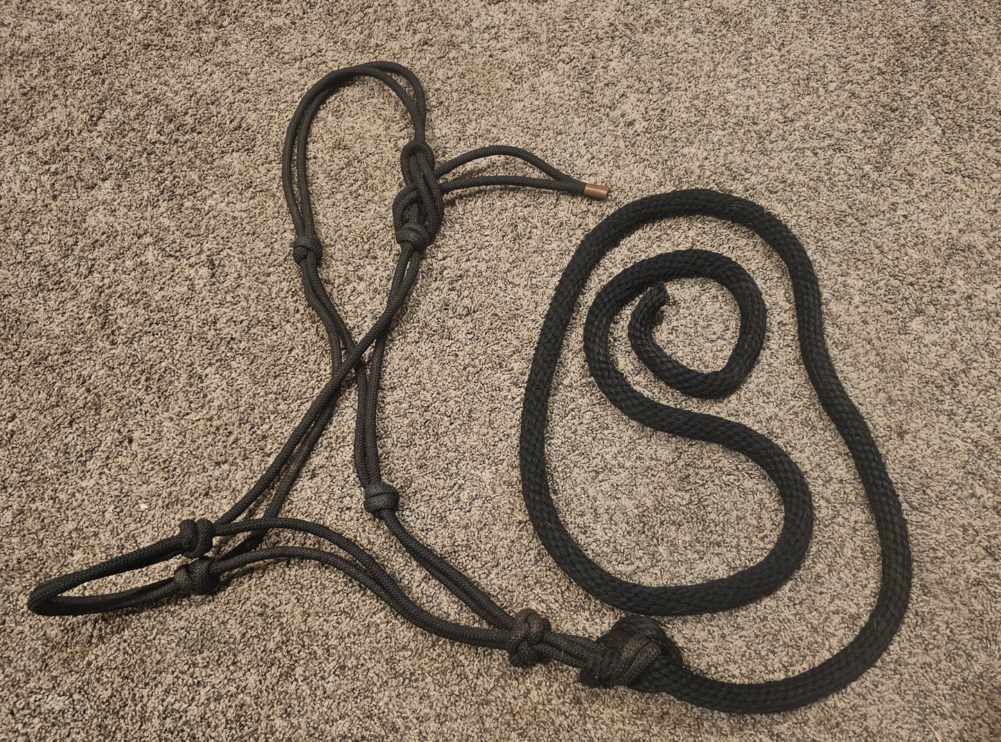 Black rope halter used