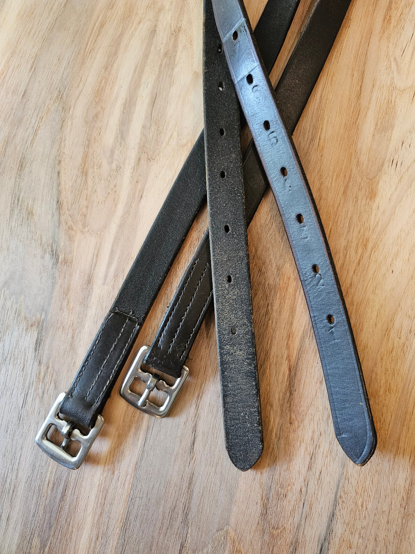 64" Schooling Leathers Dark Brown used