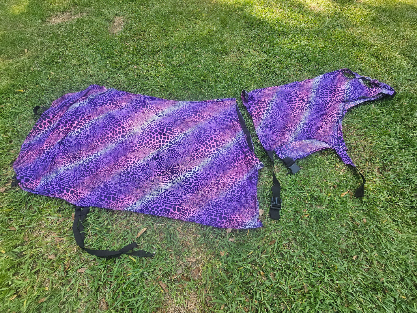 Horse Sleezy used