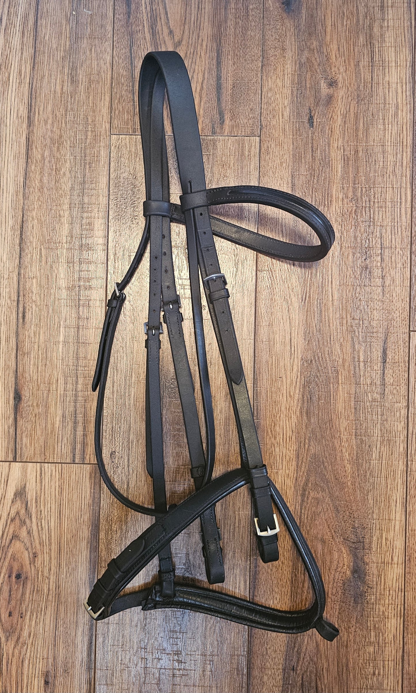 Black dressage schooling bridle