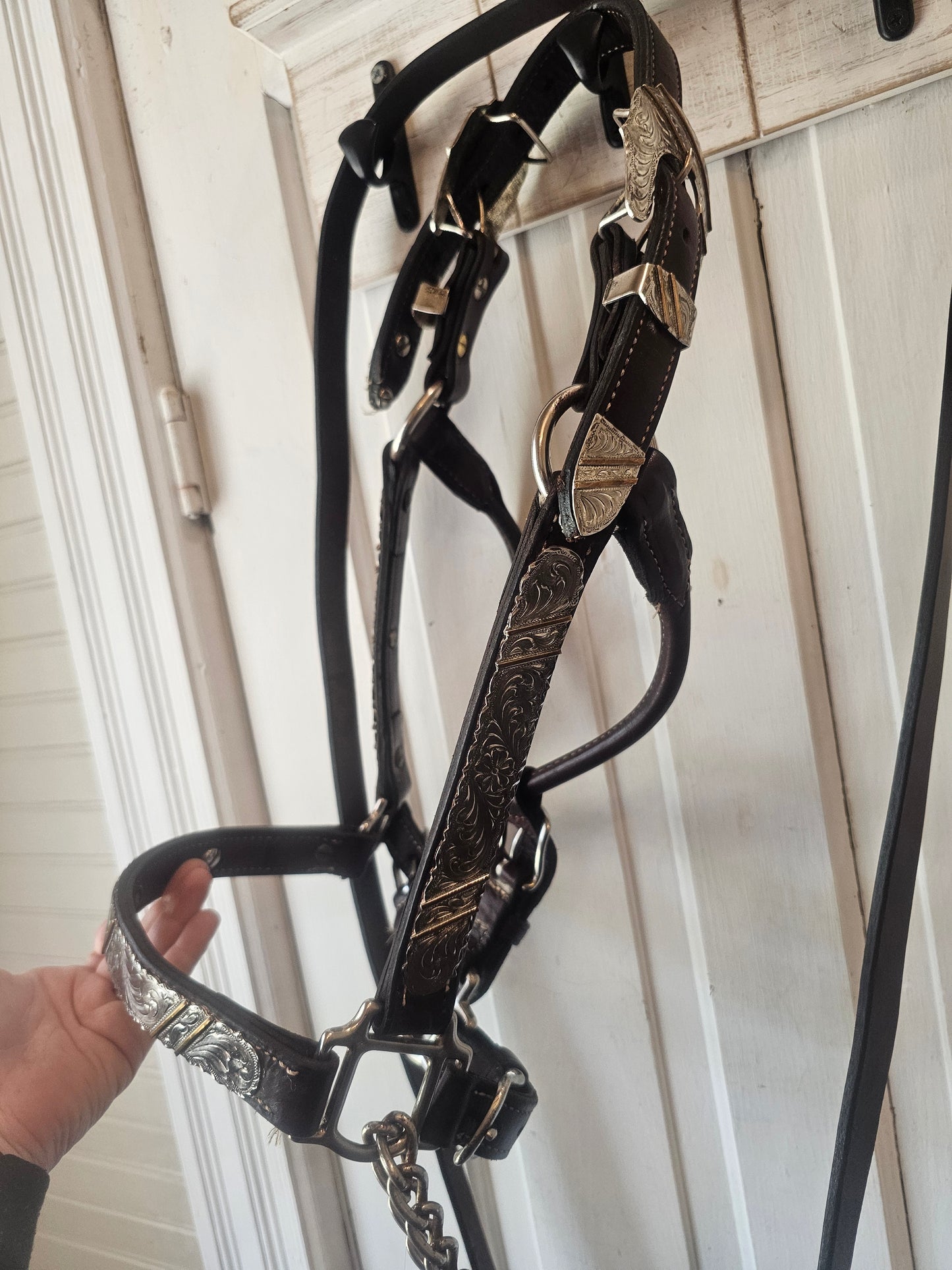 Western Show Halter with chain and lead, used