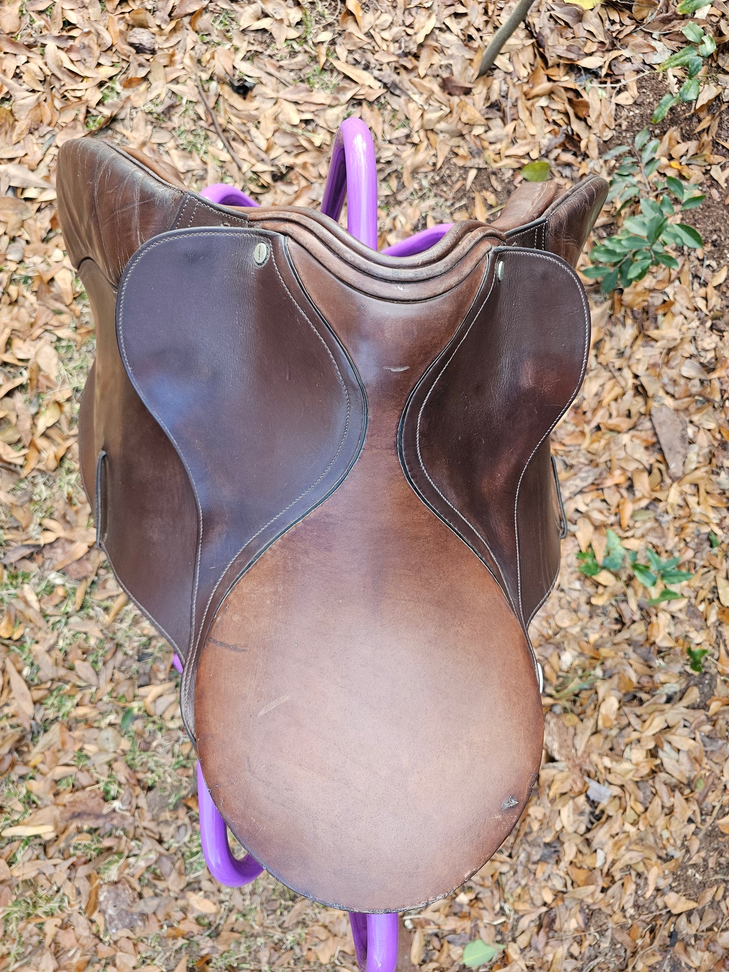 16.5" Whippy English All Purpose Saddle