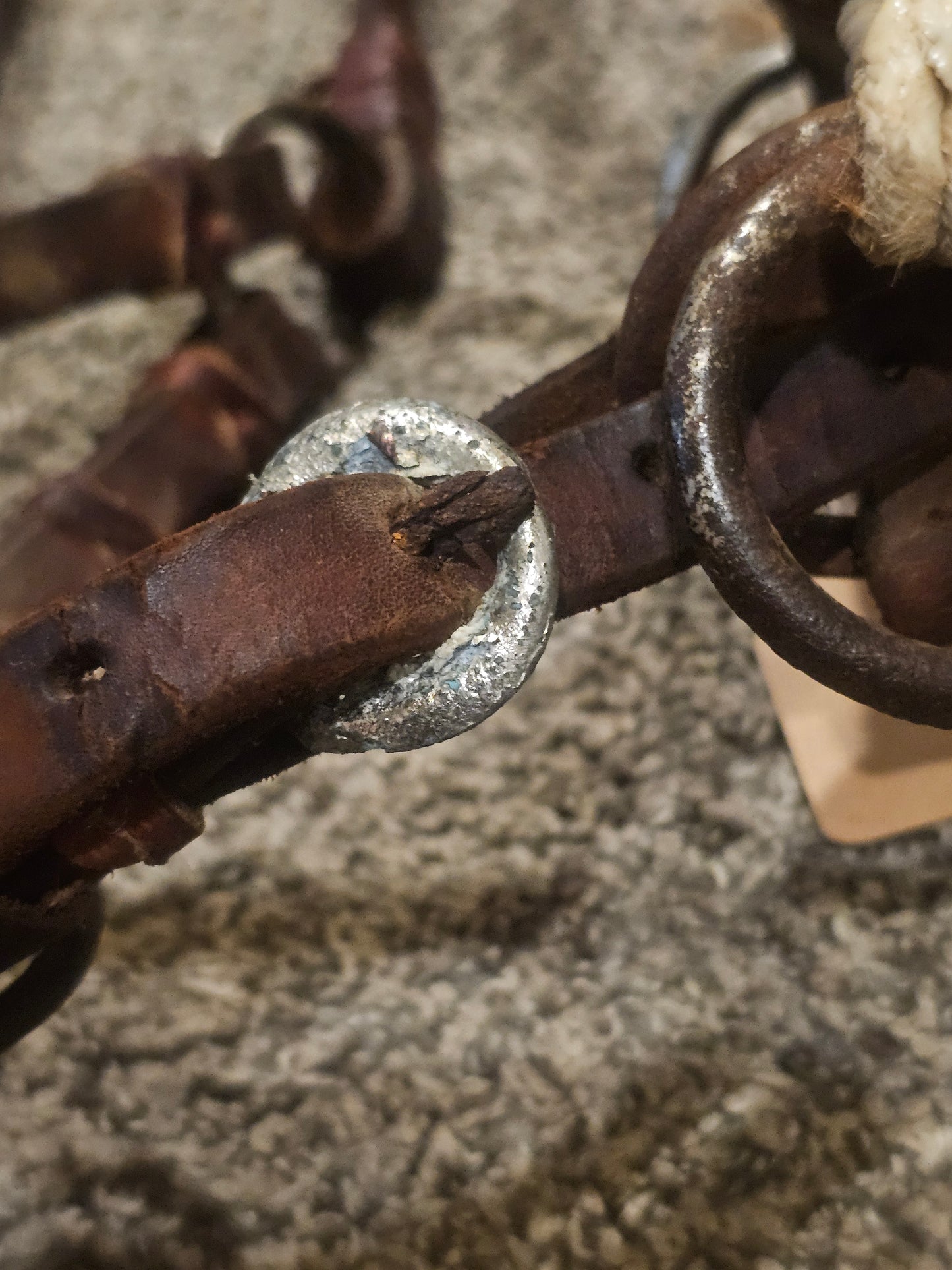 Leather Sidepull Bitless Bridle used