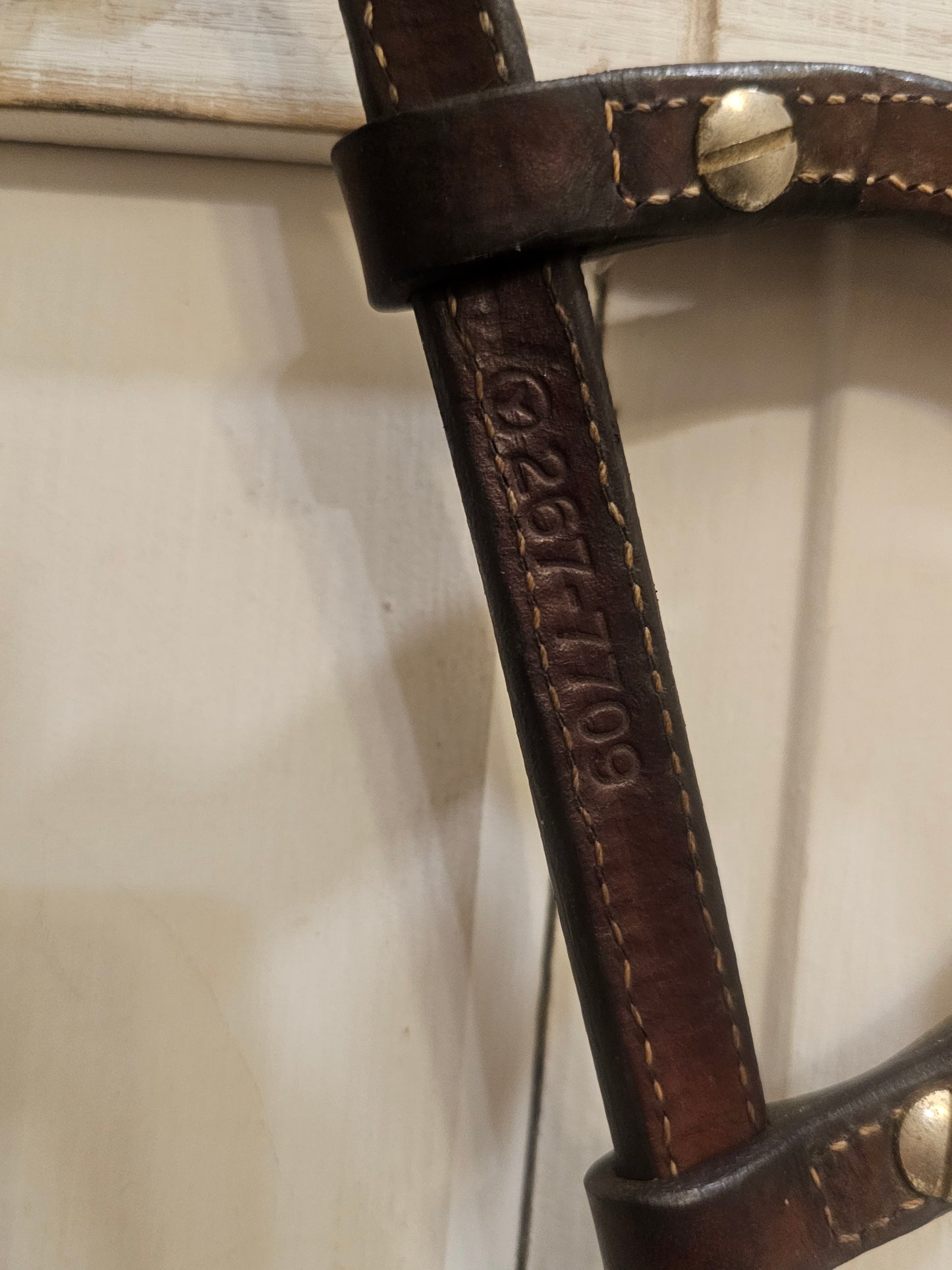 Circle Y Show Double Ear Headstall