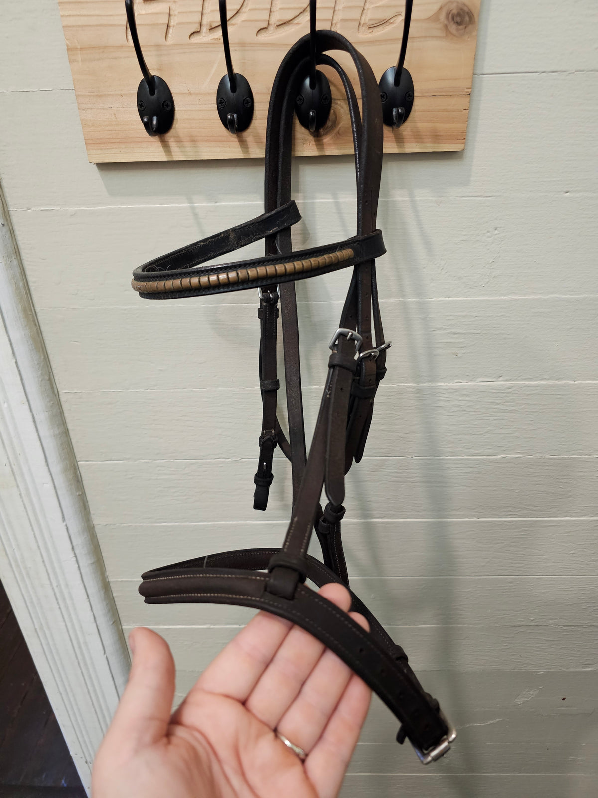 Pony leather headstall used