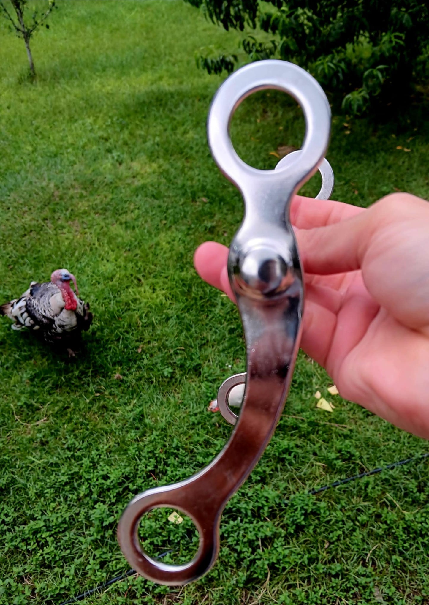 6.5" Draft full size curb bit