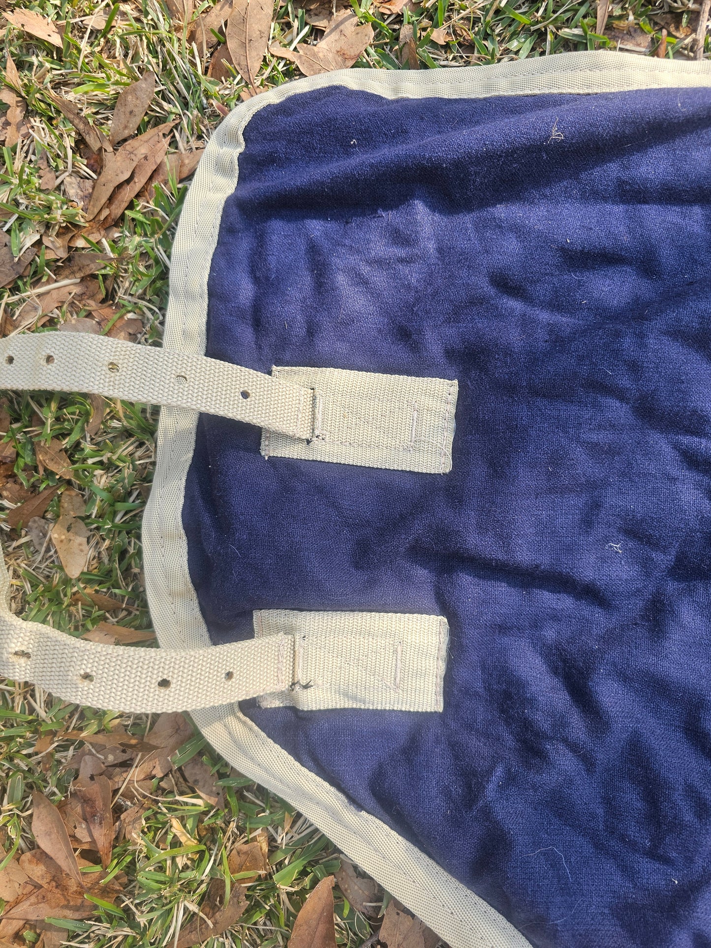 82" Dover Thinsulate Stable Blanket gently used