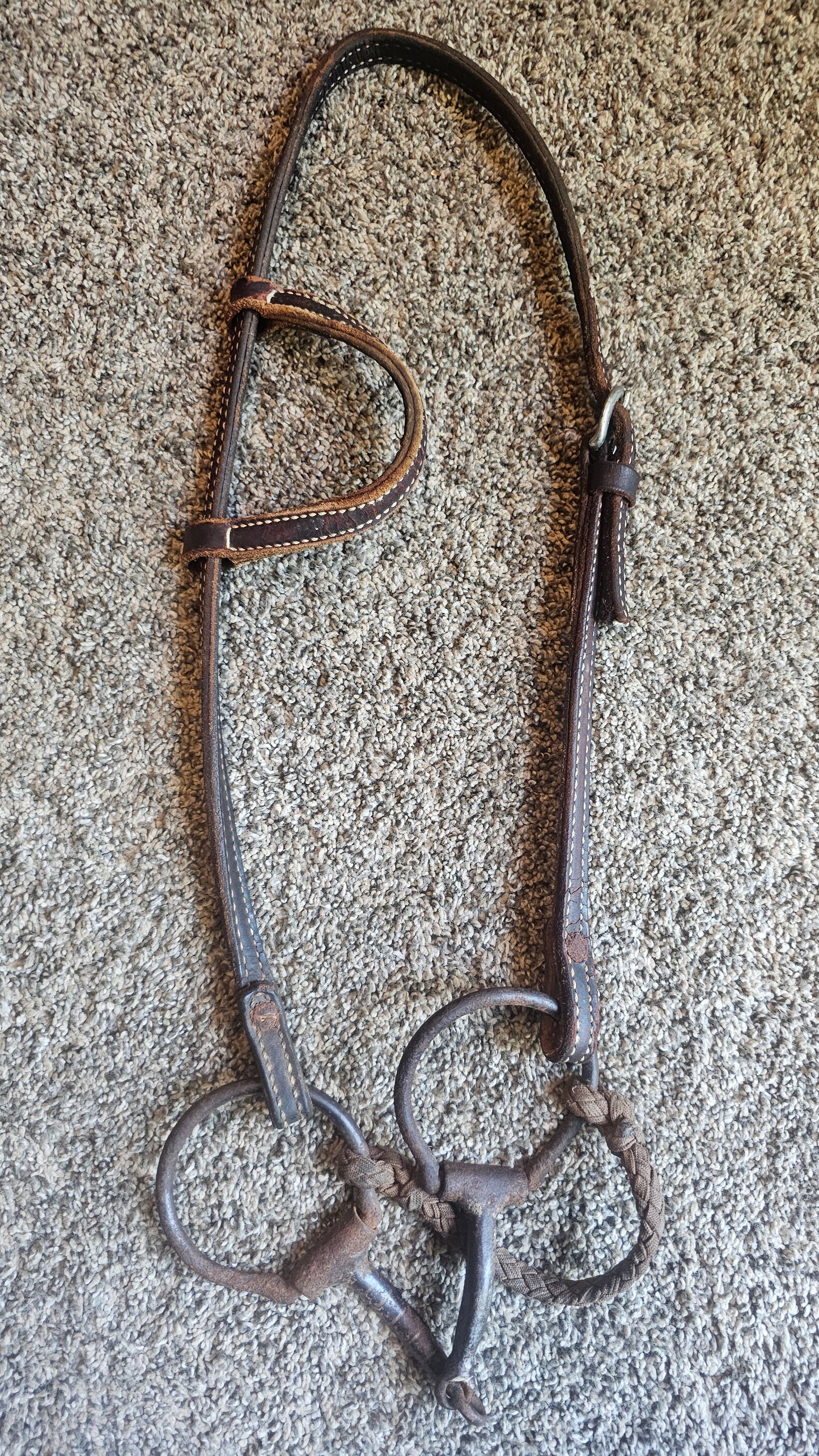 Western bridle used