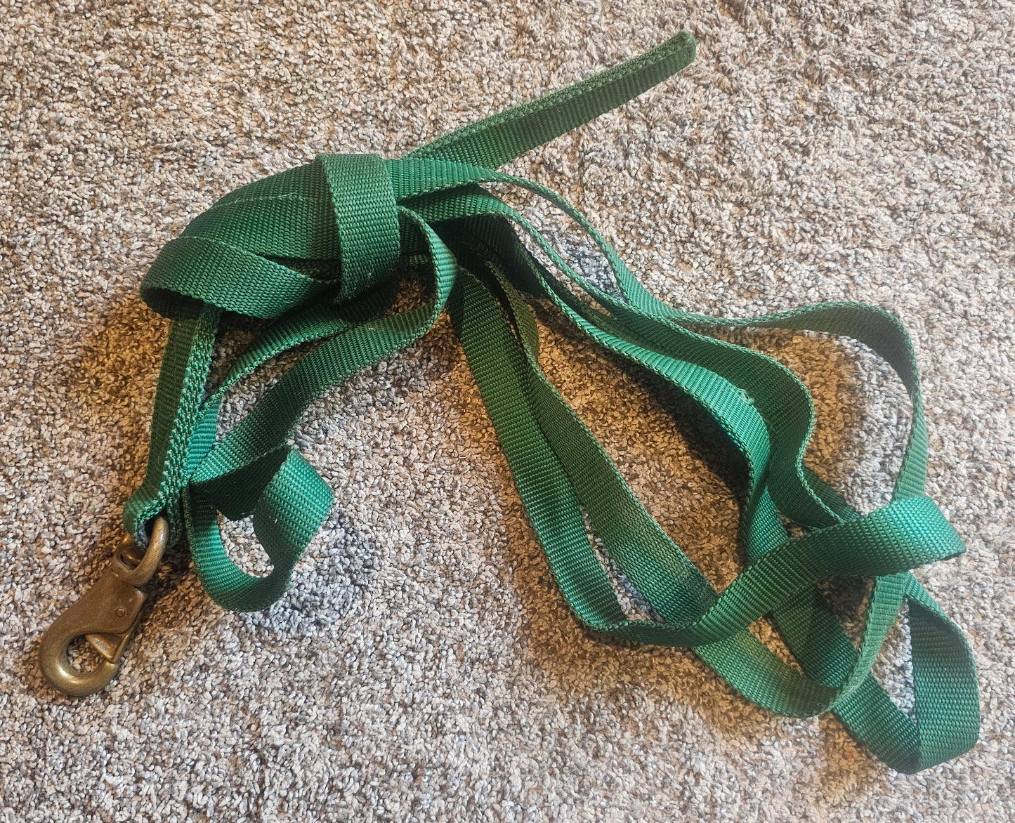 Green nylon lunge line used