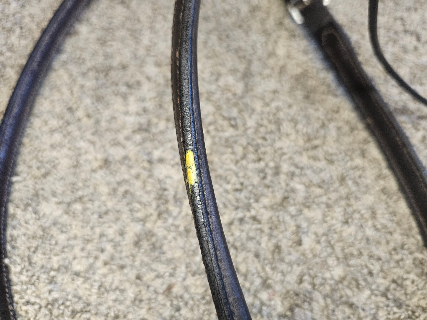 Cob 5 point breast collar used, plain raised dark brown