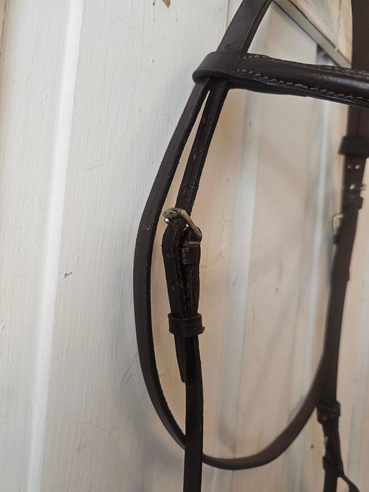 English headstall used