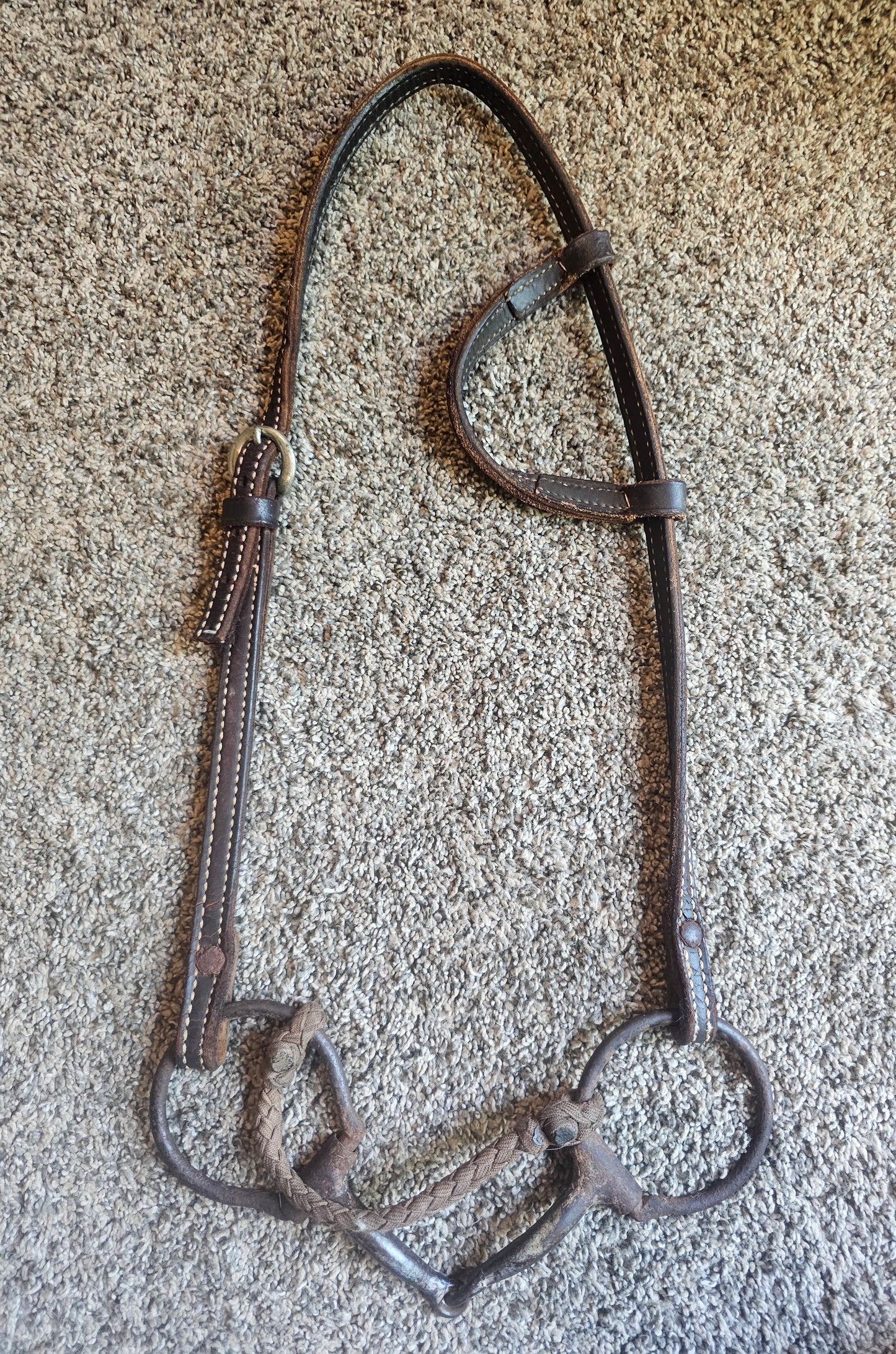 Western bridle used