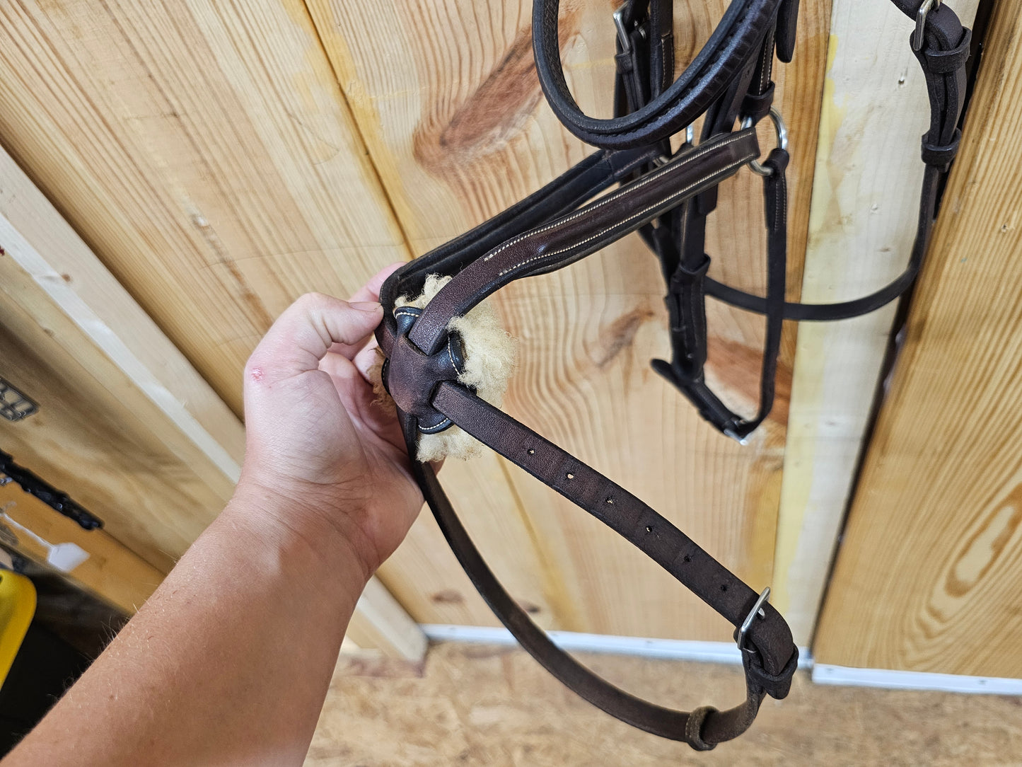 Stübben Figure 8 dark brown hunter jump bridle used