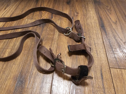 Anti grazing reins pony