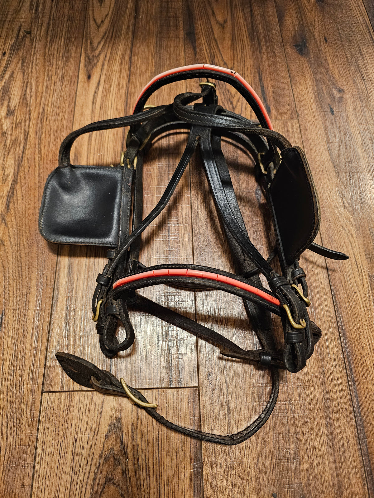 Mini Driving Bridle used