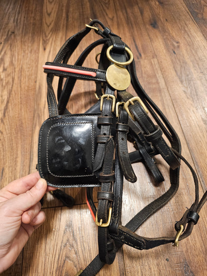 Mini Driving Bridle used