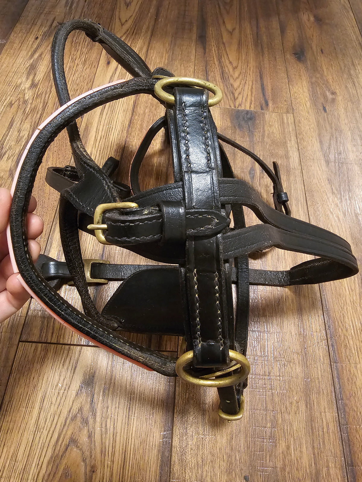 Mini Driving Bridle used