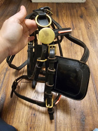 Mini Driving Bridle used