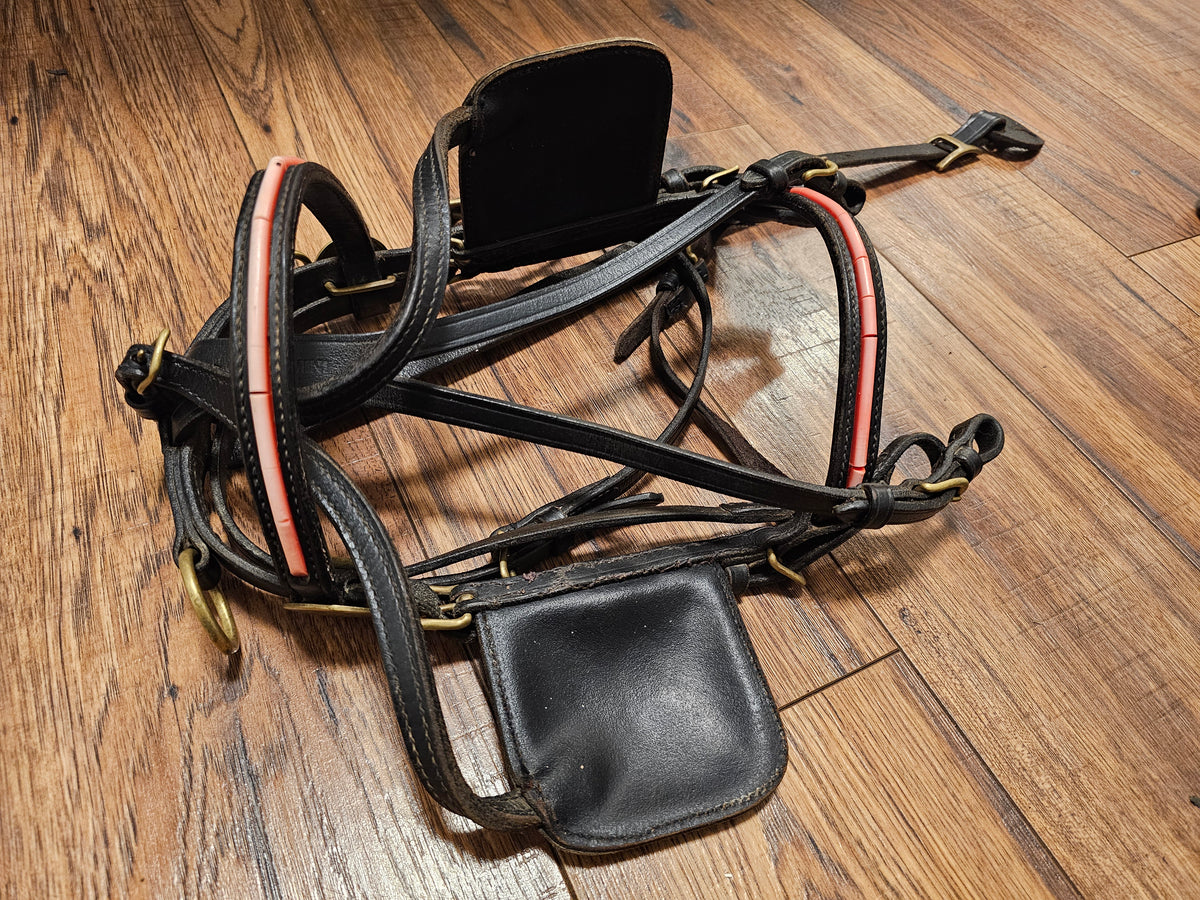 Mini Driving Bridle used