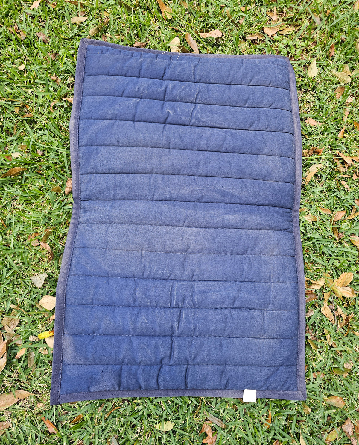 Thick Quilted Dover Saddle pad