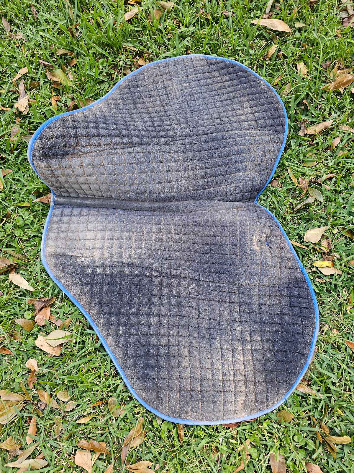 PRI Equitation Pad used