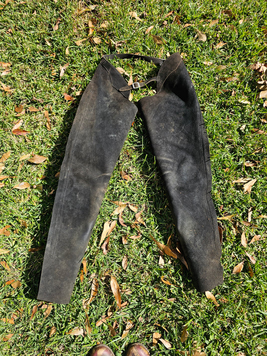 DevonAire Riding Chaps