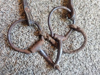 Western bridle used