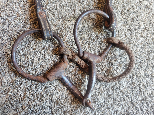 Western bridle used