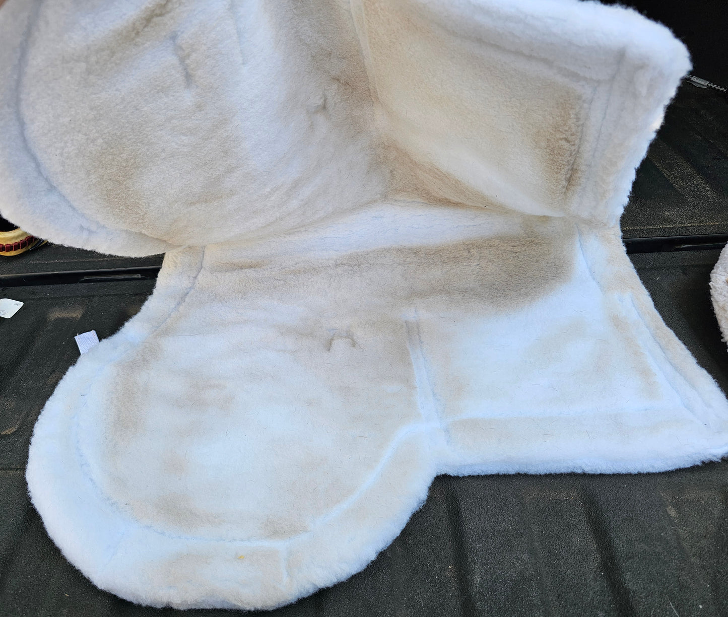 Toklat Medaillon Show pad