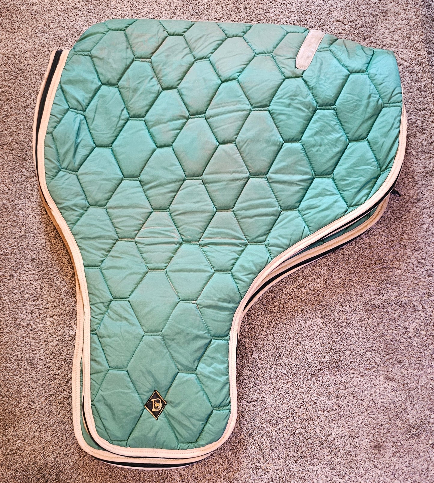 Big D Western Saddle Case used