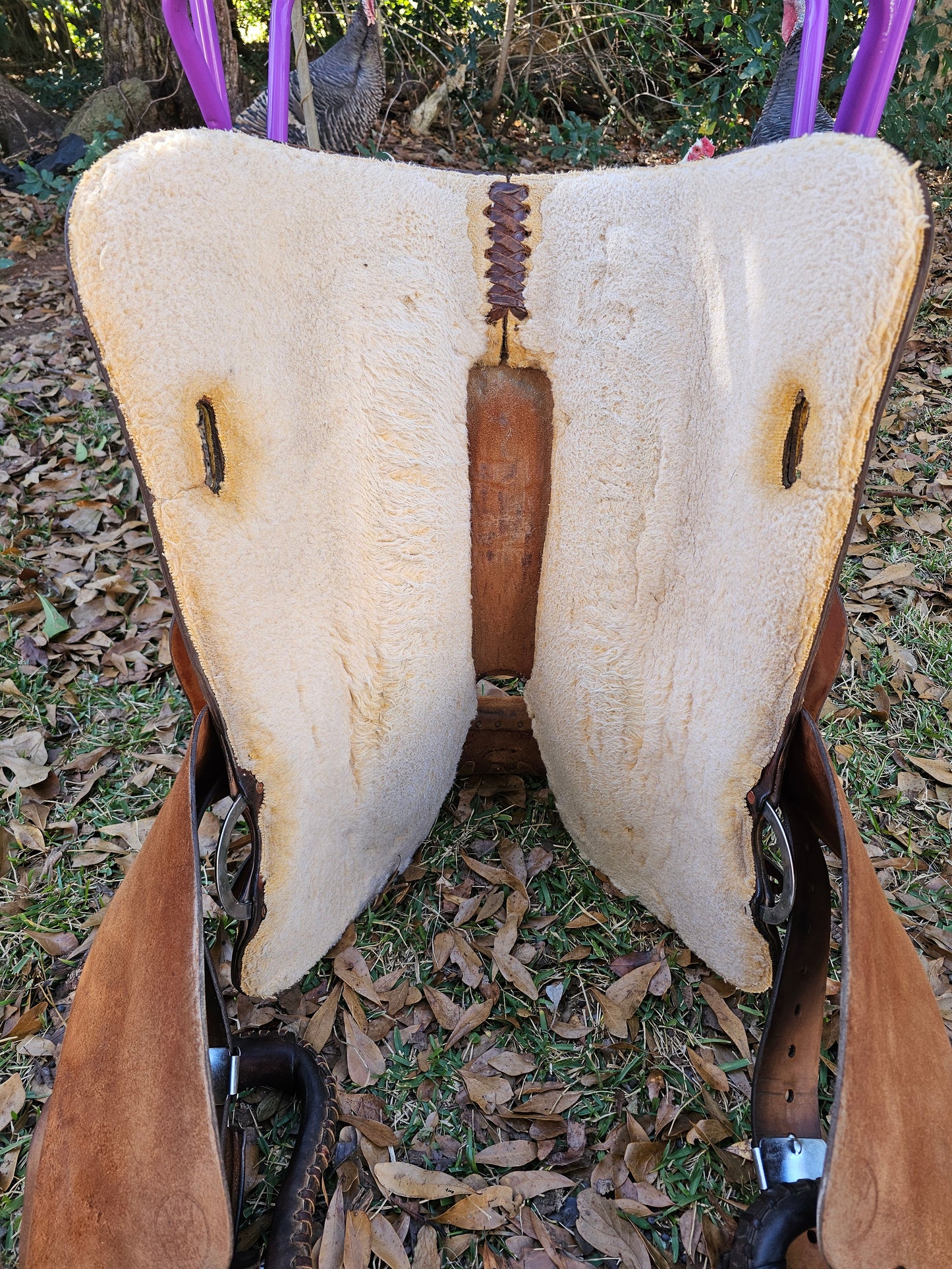 16" Bighorn Reining Trainer Saddle 858 used