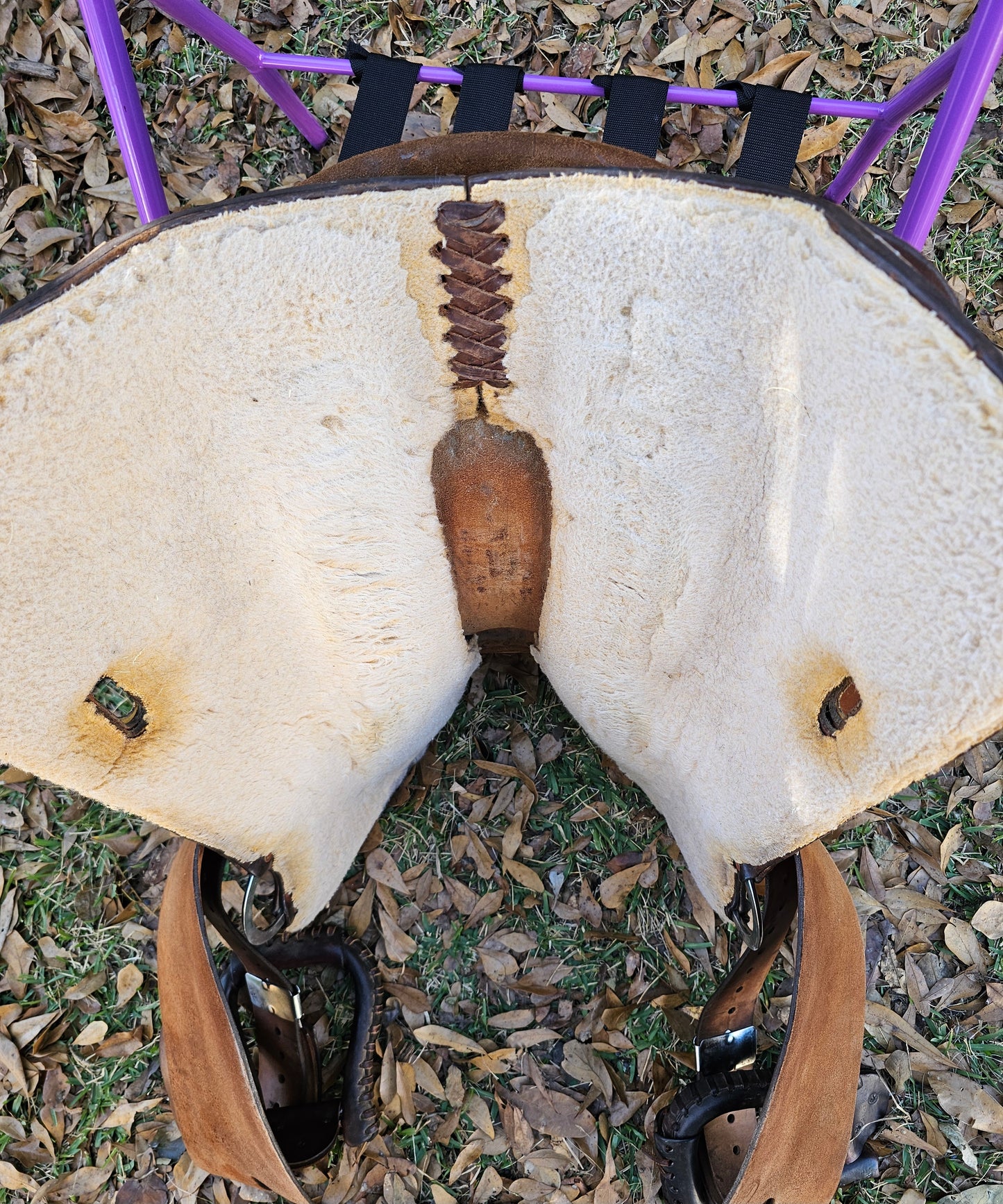 16" Bighorn Reining Trainer Saddle 858 used