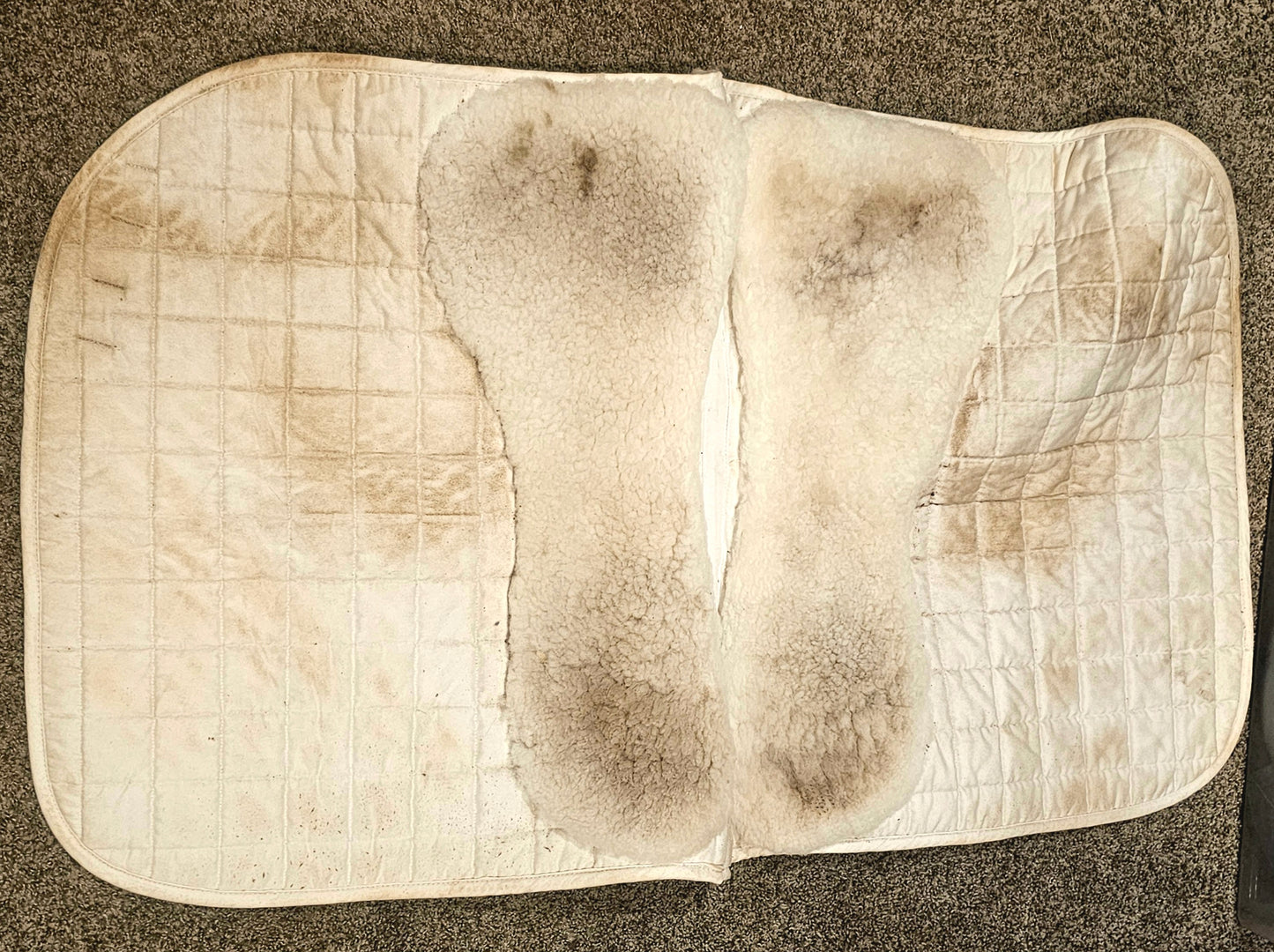 St Peter's Large Dressage Pad used
