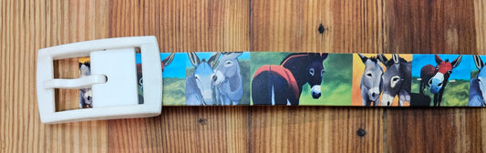 C4 Equestrian Belt