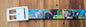C4 Equestrian Belt
