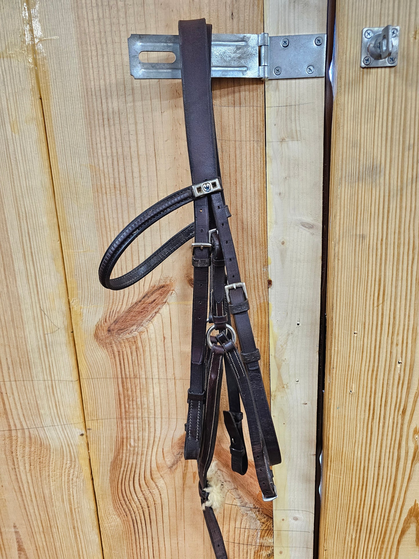 Stübben Figure 8 dark brown hunter jump bridle used