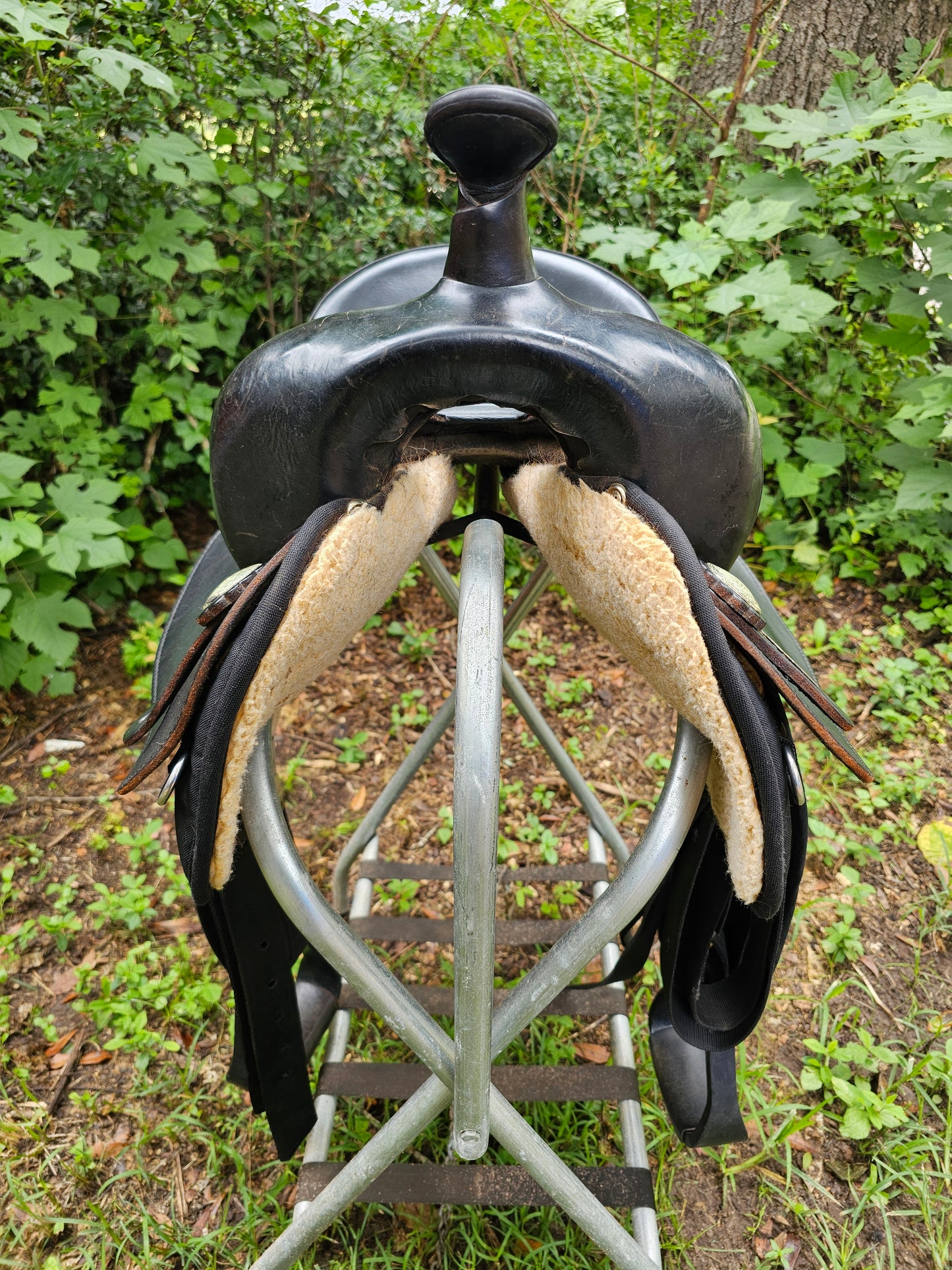 16.5" Bighorn Gaited Saddle