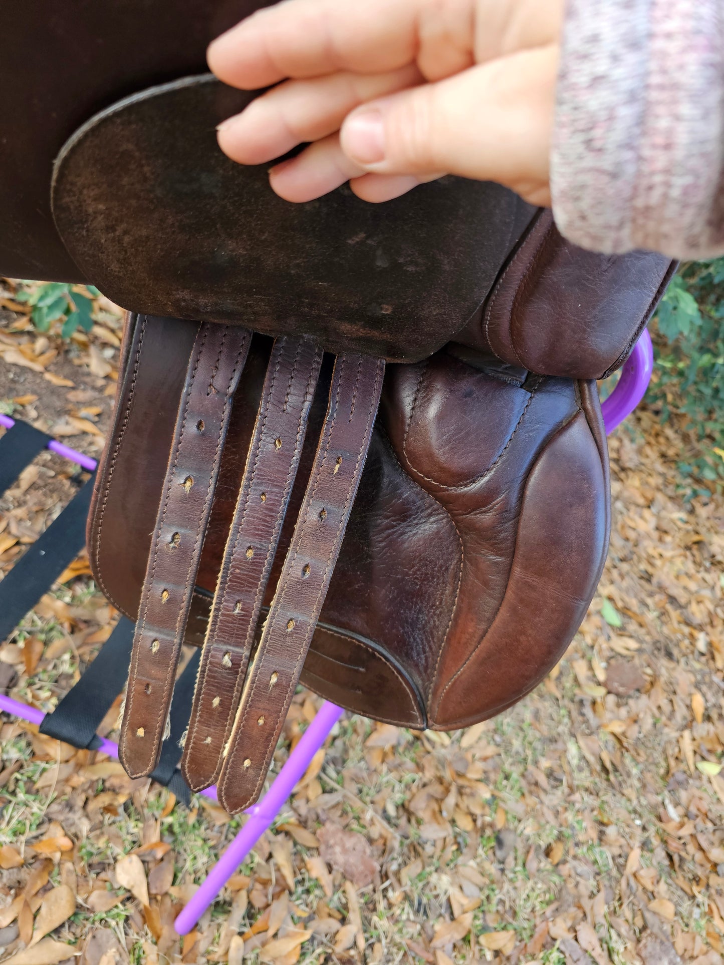 16.5" Whippy English All Purpose Saddle