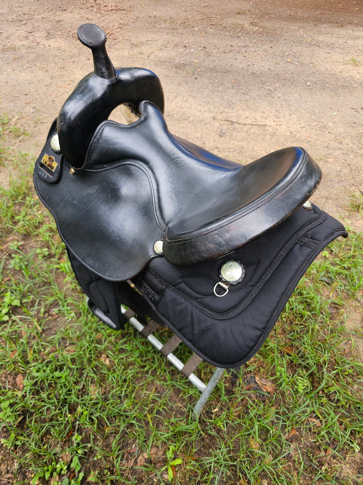 16.5" Bighorn Gaited Saddle