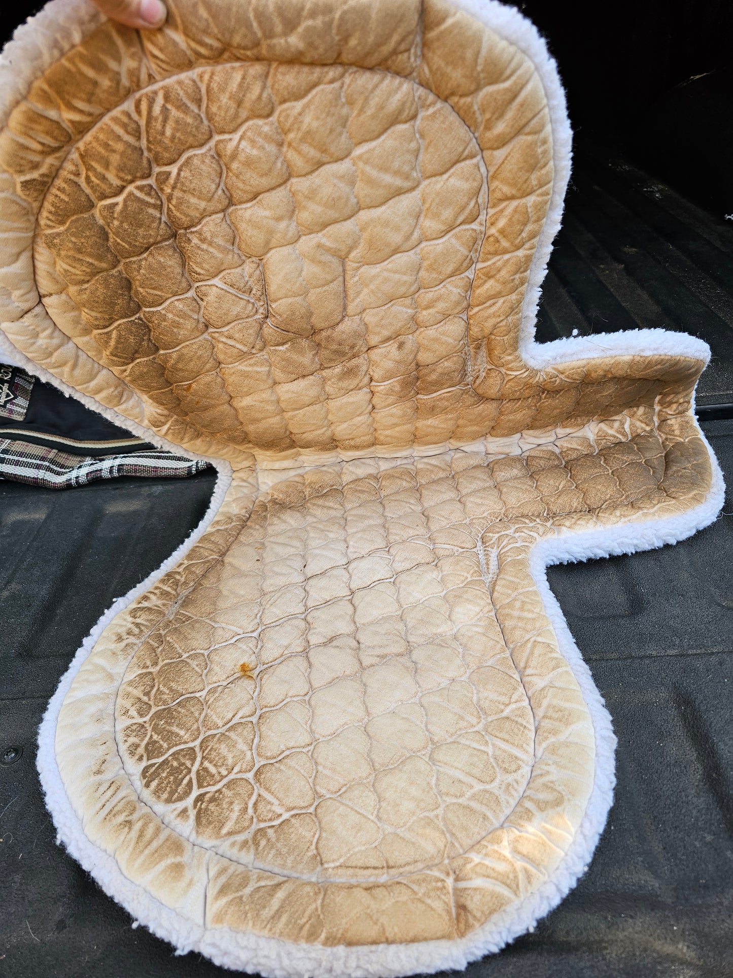 Toklat Medaillon Fitted AP pad