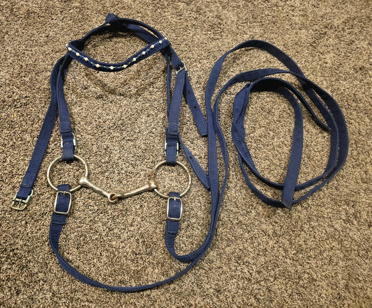Pretty Navy blue Nylon Bridle used