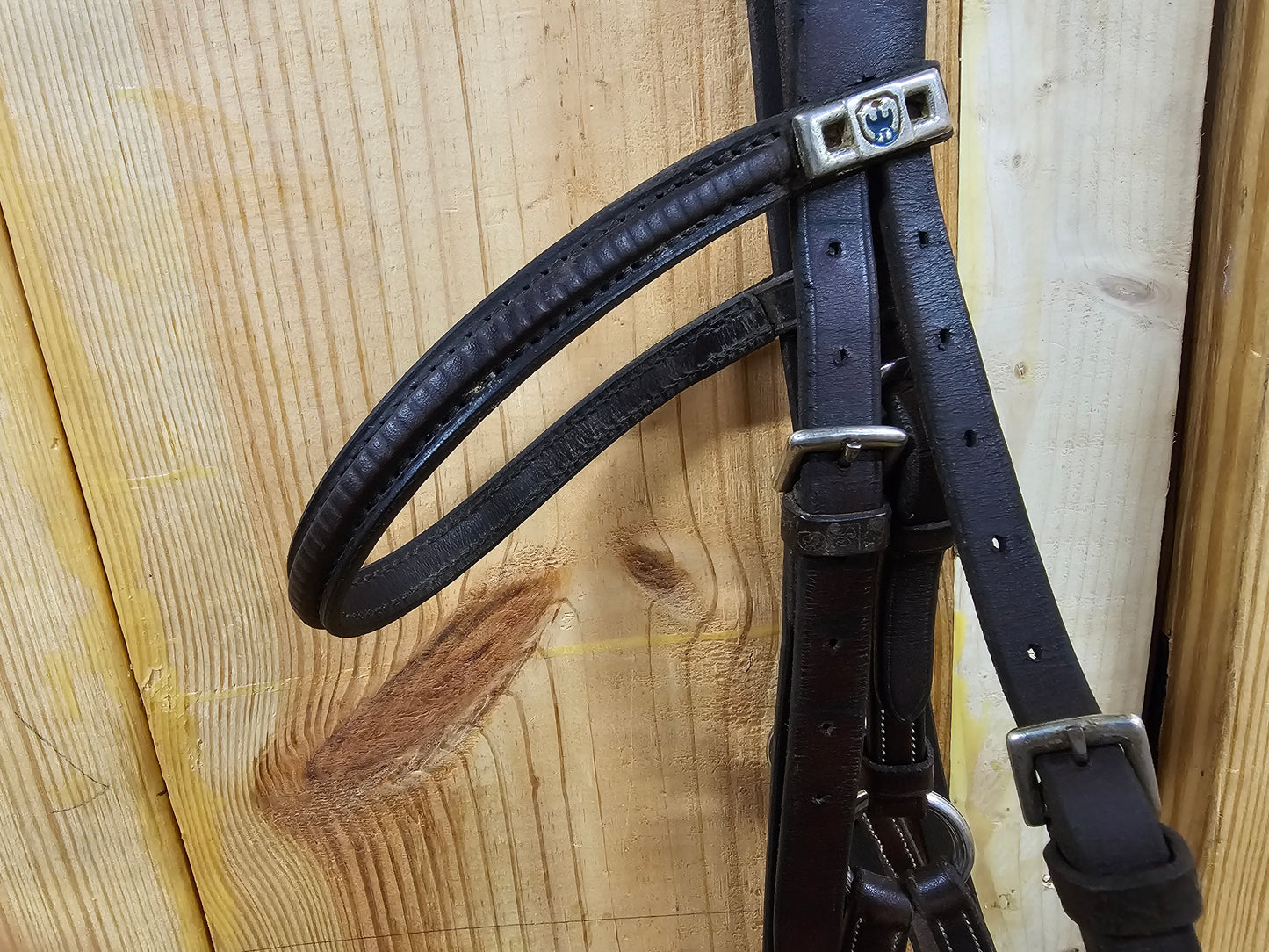 Stübben Figure 8 dark brown hunter jump bridle used