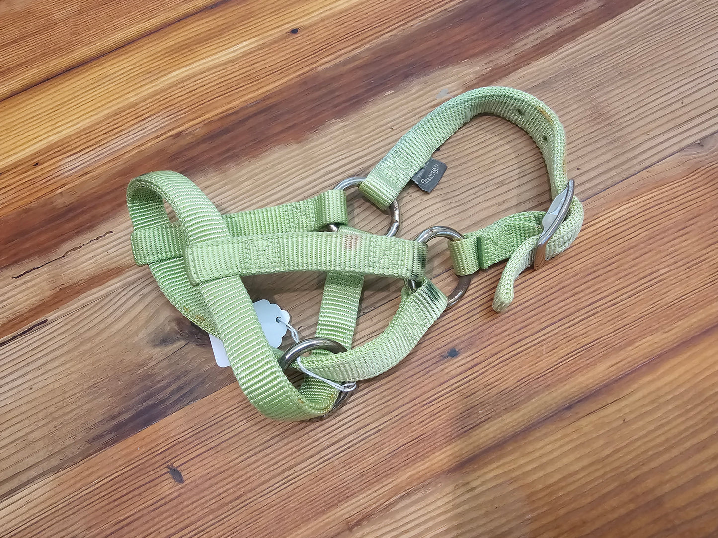 Weaver Foal Halter lime green