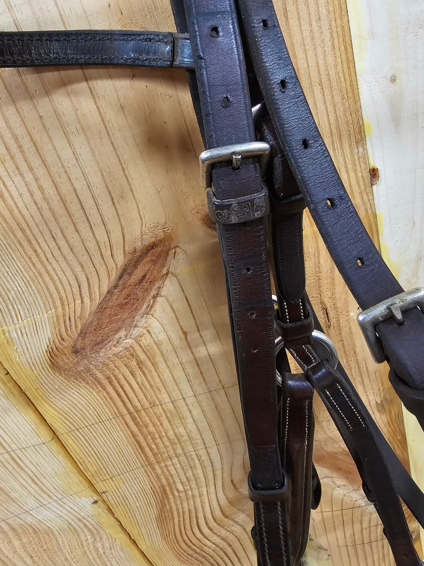 Stübben Figure 8 dark brown hunter jump bridle used