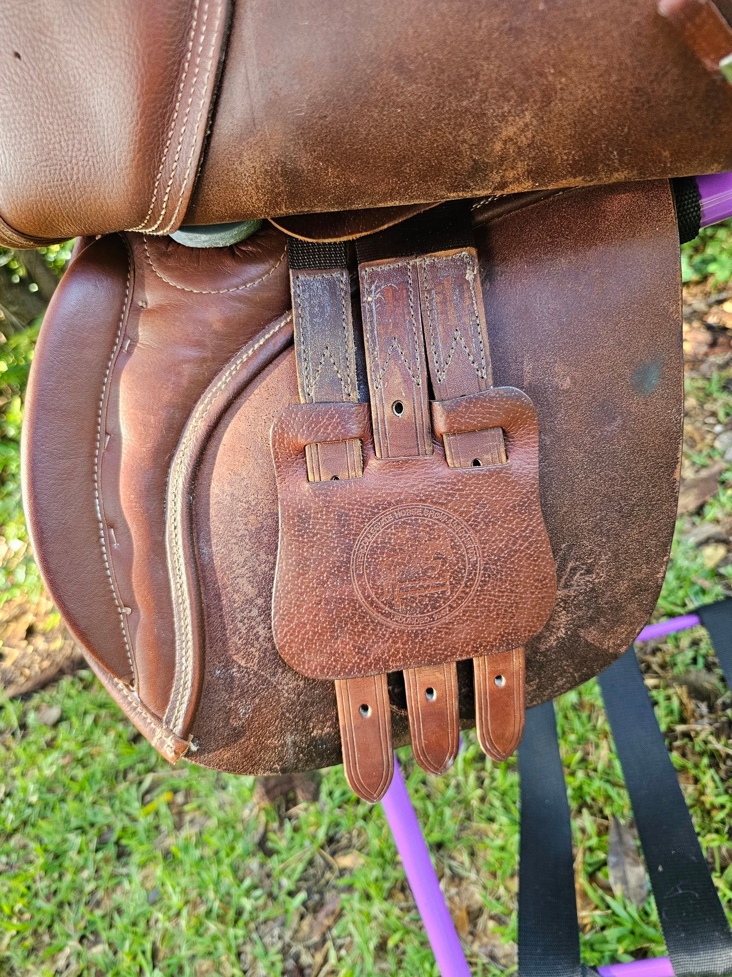 17.5" Collegiate Convertible Close Contact Saddle