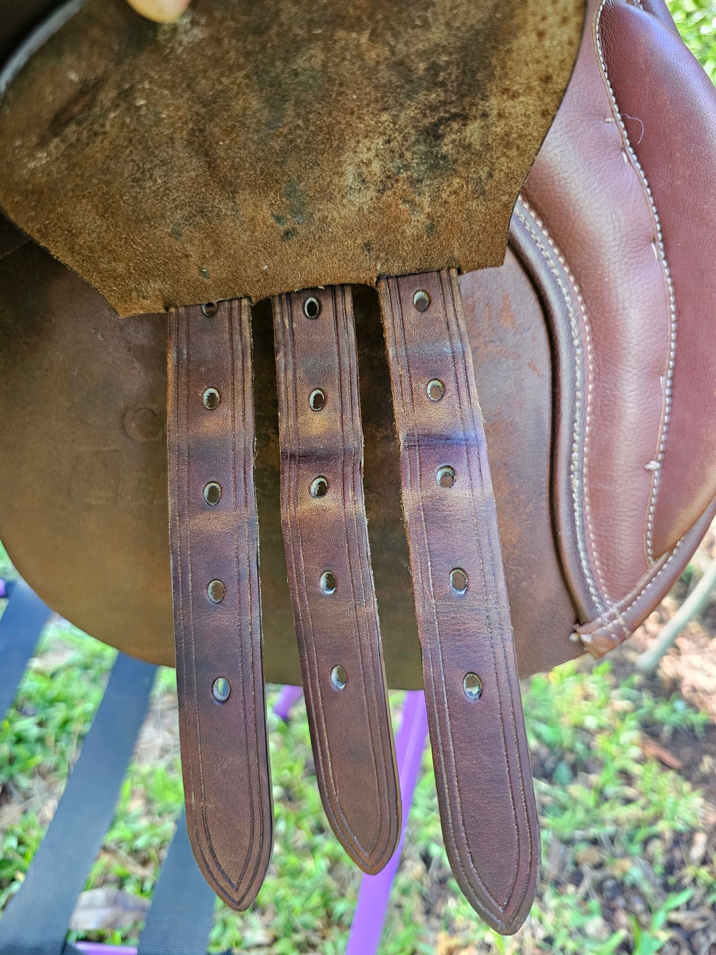 17.5" Collegiate Convertible Close Contact Saddle