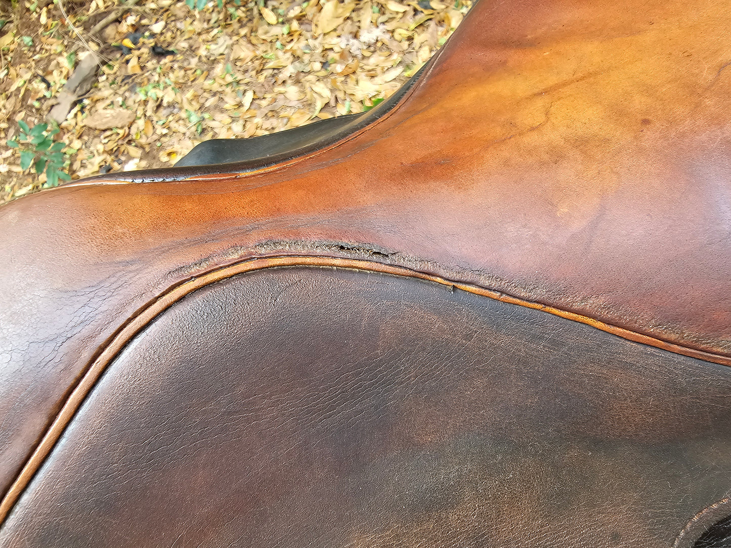 17" County Stabilizer Close Contact Hunt Seat used