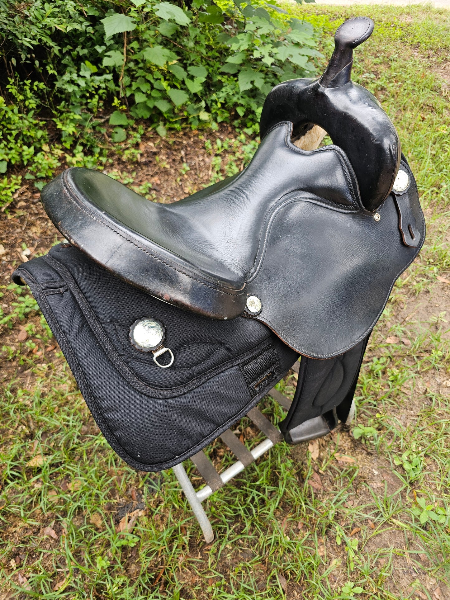 16.5" Bighorn Gaited Saddle